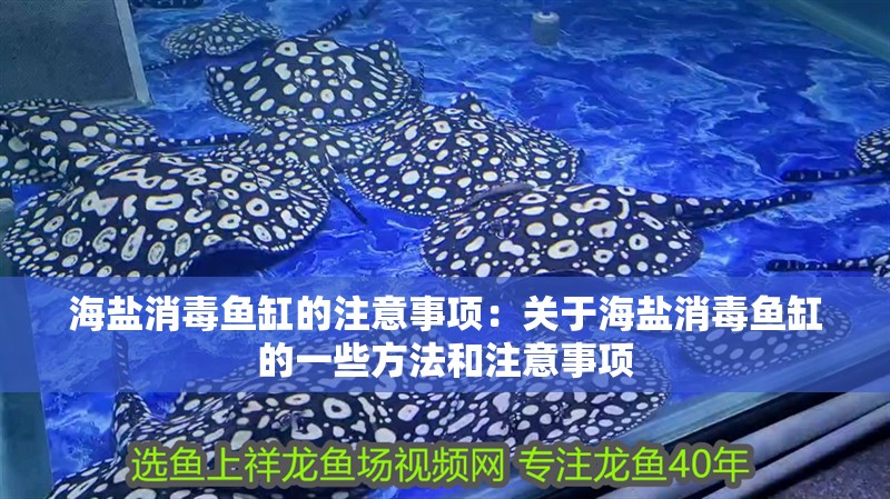 海鹽消毒魚缸的注意事項(xiàng)：關(guān)于海鹽消毒魚缸的一些方法和注意事項(xiàng)