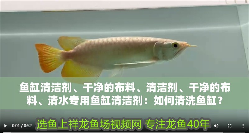 魚缸清潔劑、干凈的布料、清潔劑、干凈的布料、<strong><mark>清水</mark></strong>專用魚缸清潔劑：如何清洗魚缸？