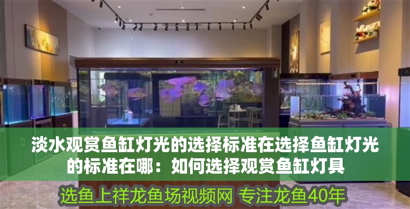 淡水觀賞魚缸燈光的選擇標準在選擇魚缸燈光的標準在哪：如何選擇觀賞魚缸燈具