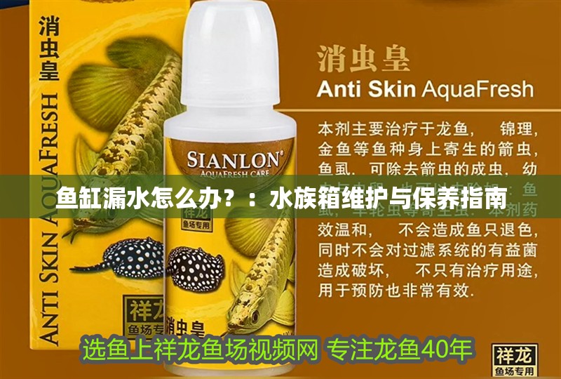 魚缸漏水怎么辦？：水族箱維護(hù)與保養(yǎng)指南 魚缸漏水怎么辦？：水族箱維護(hù)與保養(yǎng)指南 魚缸百科