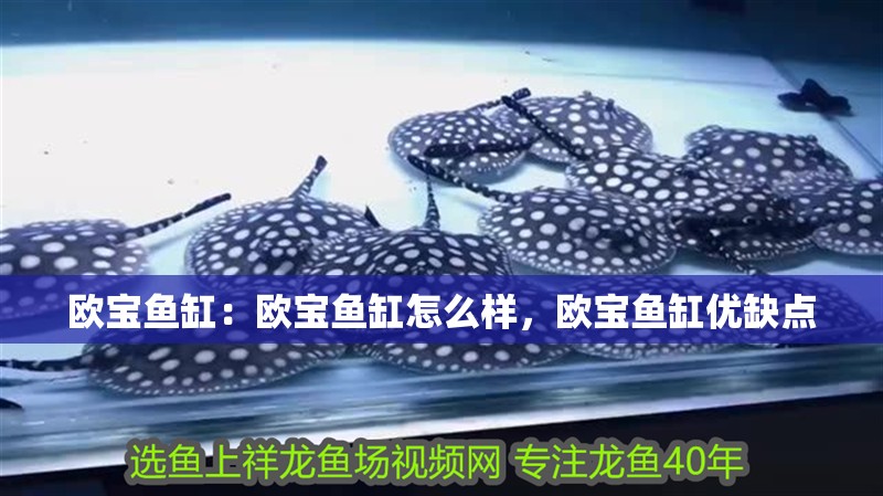 歐寶魚缸：歐寶魚缸怎么樣，歐寶魚缸優缺點