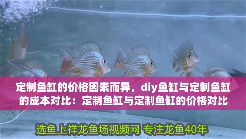 定制魚缸的價格因素而異，diy魚缸與定制魚缸的成本對比：定制魚缸與定制魚缸的價格對比