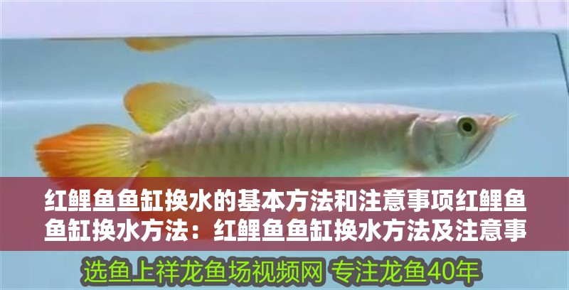 紅鯉魚魚缸換水的基本方法和注意事項(xiàng)紅鯉魚魚缸換水方法：紅鯉魚魚缸換水方法及注意事項(xiàng)