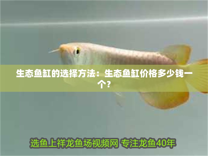 生態魚缸的選擇方法：生態魚缸價格多少錢一個？