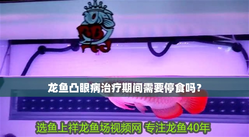 龍魚凸眼病治療期間需要停食嗎？