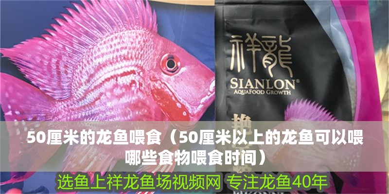 50厘米的龍魚喂食（50厘米以上的龍魚可以喂哪些食物喂食時間）