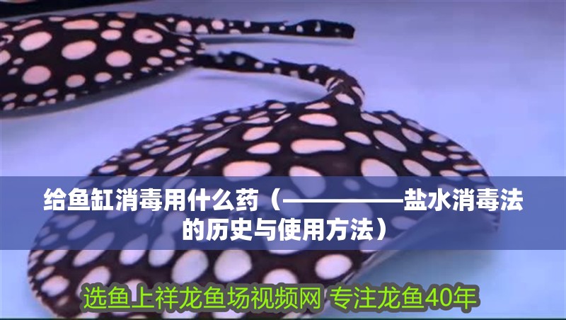 給魚缸消毒用什么藥（—————鹽水消毒法的歷史與使用方法）