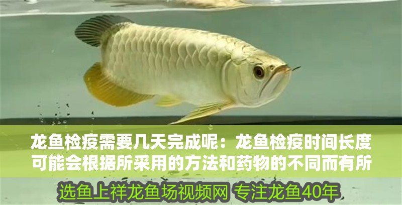龍魚檢疫需要幾天完成呢：龍魚檢疫時間長度可能會根據所采用的方法和藥物的不同而有所變化