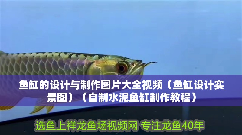 魚缸的設計與制作圖片大全視頻（魚缸設計實景圖）（自制水泥魚缸制作教程）