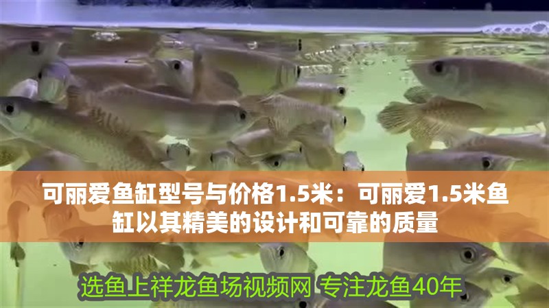 可麗愛魚缸型號與價格1.5米：可麗愛1.5米魚缸以其精美的設計和可靠的質量