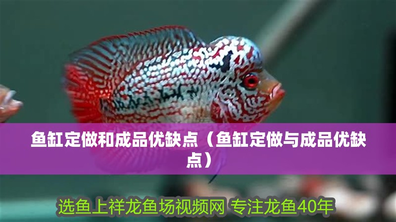 魚缸定做和成品優(yōu)缺點(diǎn)（魚缸定做與成品優(yōu)缺點(diǎn)）