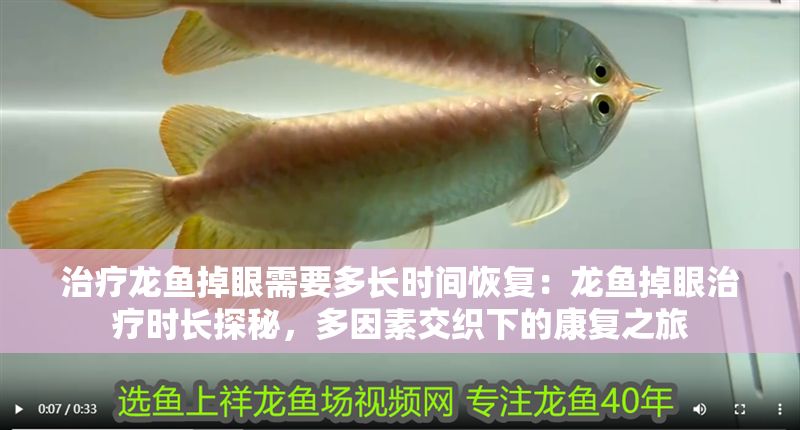 治療龍魚掉眼需要多長時間恢復：龍魚掉眼治療時長探秘，多因素交織下的康復之旅