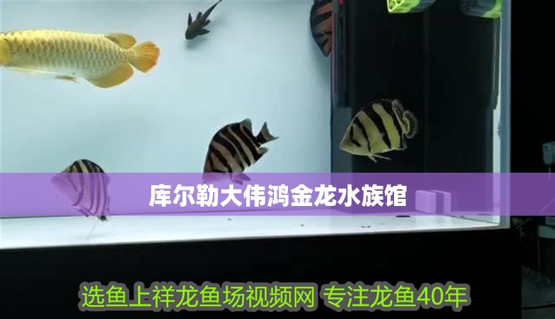 庫爾勒大偉鴻金龍水族館