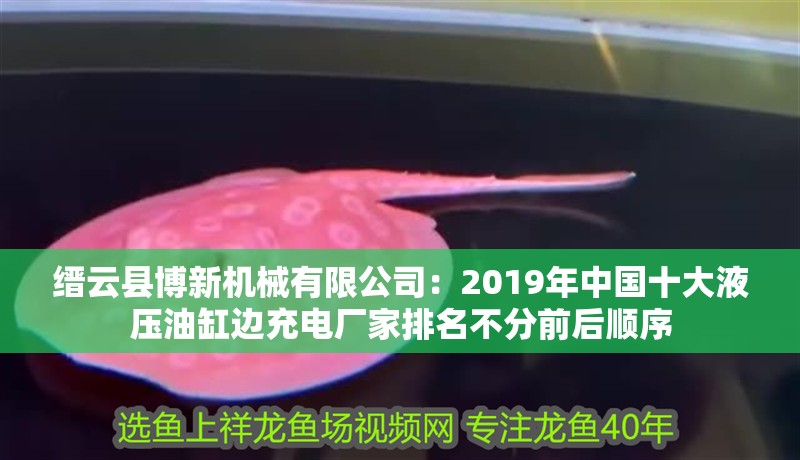 縉云縣博新機械有限公司：2019年中國十大液壓油缸邊充電廠家排名不分前后順序
