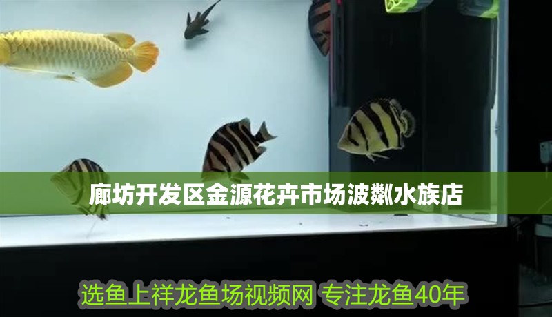 廊坊開發區金源花卉市場波粼水族店