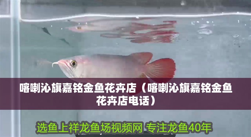 喀喇沁旗嘉銘金魚(yú)花卉店（喀喇沁旗嘉銘金魚(yú)花卉店電話）