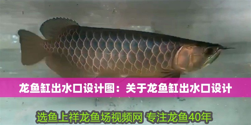 龍魚缸出水口設計圖：關于龍魚缸出水口設計