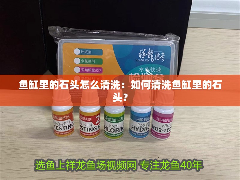 魚缸里的石頭怎么清洗：如何清洗魚缸里的石頭？