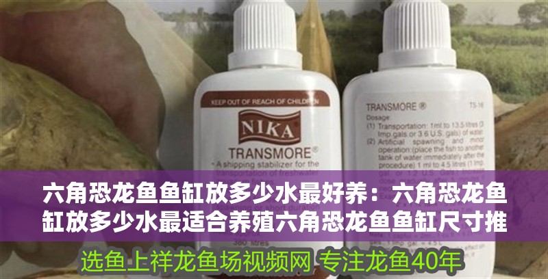 六角恐龍魚魚缸放多少水最好養：六角恐龍魚缸放多少水最適合養殖六角恐龍魚魚缸尺寸推薦