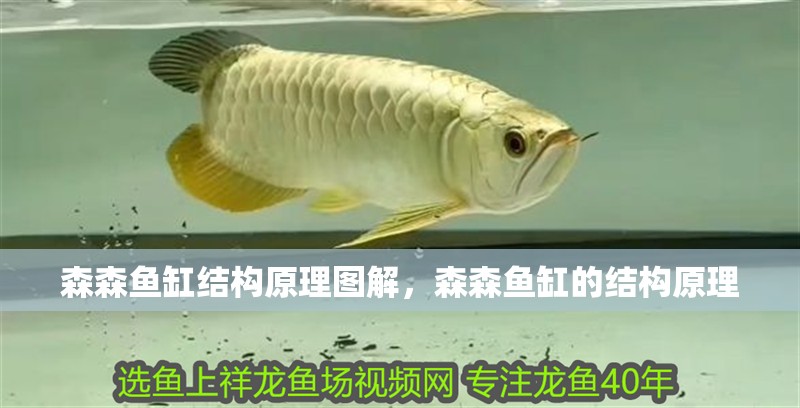 森森魚缸結構原理圖解，森森魚缸的結構原理
