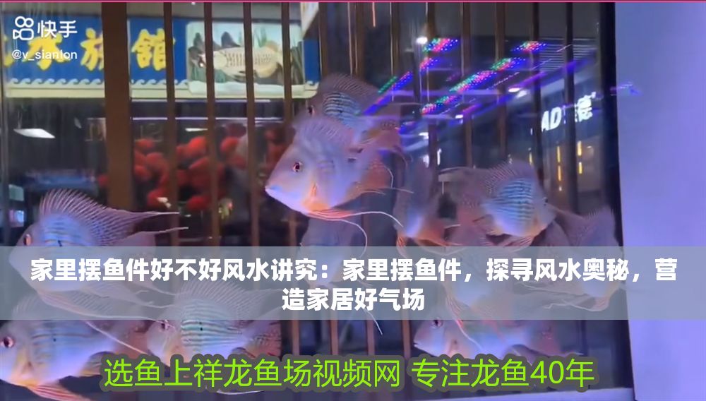 家里擺魚件好不好風水講究：家里擺魚件，探尋風水奧秘，營造家居好氣場