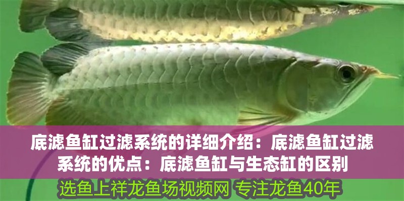 底濾魚缸過濾系統的詳細介紹：底濾魚缸過濾系統的優點：底濾魚缸與生態缸的區別