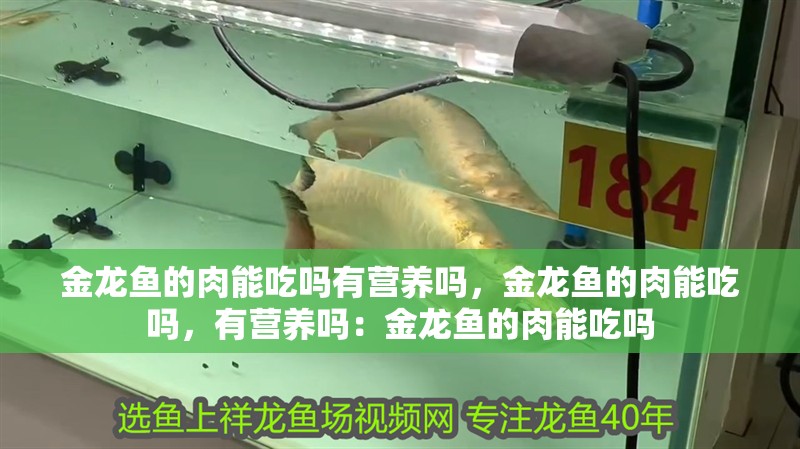 金龍魚的肉能吃嗎有營養(yǎng)嗎，金龍魚的肉能吃嗎，有營養(yǎng)嗎：金龍魚的肉能吃嗎