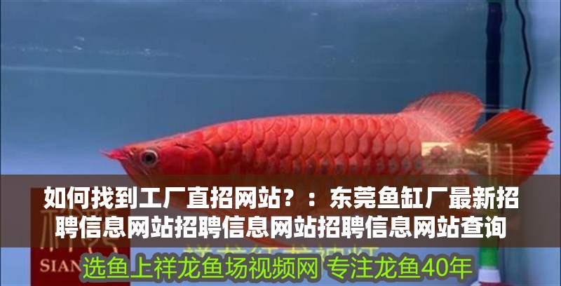 如何找到工廠直招網站？：東莞魚缸廠最新招聘信息網站招聘信息網站招聘信息網站查詢