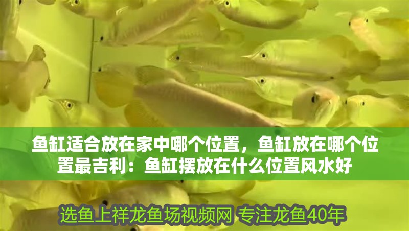 魚缸適合放在家中哪個位置，魚缸放在哪個位置最吉利：魚缸擺放在什么位置風水好