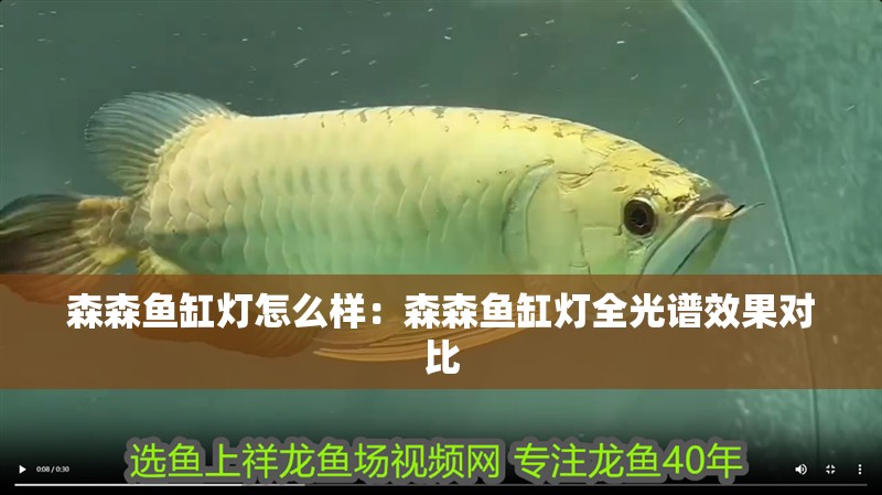 森森魚缸燈怎么樣：森森魚缸燈全光譜效果對比 森森魚缸燈怎么樣：森森魚缸燈全光譜效果對比 魚缸百科
