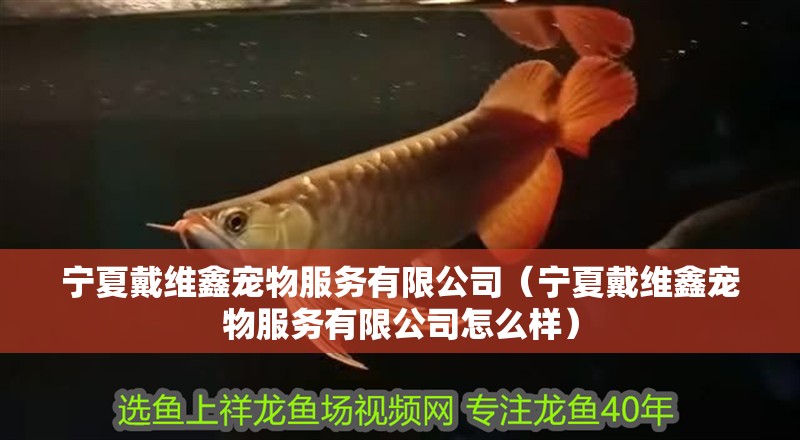 寧夏戴維鑫寵物服務有限公司（寧夏戴維鑫寵物服務有限公司怎么樣）