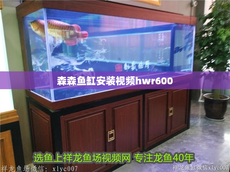 森森魚缸安裝視頻hwr600