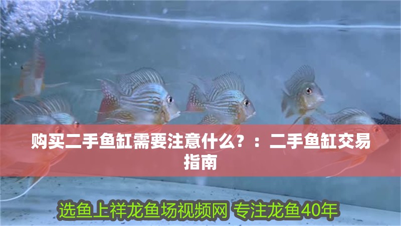 購買二手魚缸需要注意什么？：二手魚缸交易指南