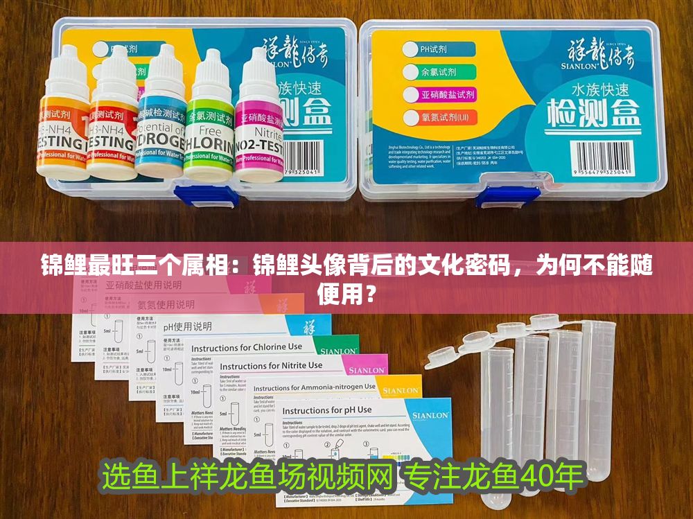 錦鯉最旺三個屬相：錦鯉頭像背后的文化密碼，為何不能隨便用？