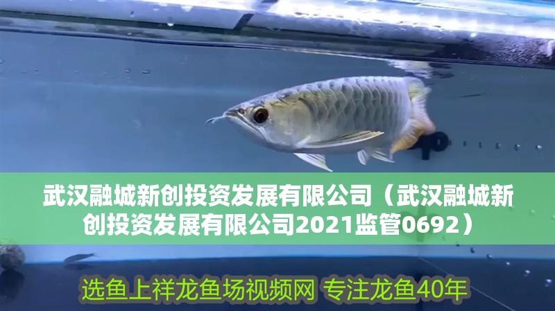 魚缸過濾器選購指南:自制魚缸過濾器魚缸上置過濾器對于養魚愛好者的必備知識 武漢融城新創投資發展有限公司(武漢融城新創投資發展有限公司2021監管0692) 全國水族館企業名錄 武漢融城新創投資發展有限公司(武漢融城新創投資發展有限公司2021監管0692) 武漢融城新創投資發展有限公司(武漢融城新創投資發展有限公司2021監管0692) 全國水族館企業名錄