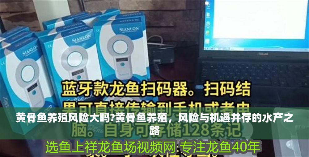 黃骨魚養(yǎng)殖風(fēng)險(xiǎn)大嗎?黃骨魚養(yǎng)殖，風(fēng)險(xiǎn)與機(jī)遇并存的水產(chǎn)之路