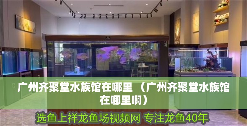 廣州齊聚堂水族館在哪里 （廣州齊聚堂水族館在哪里啊）