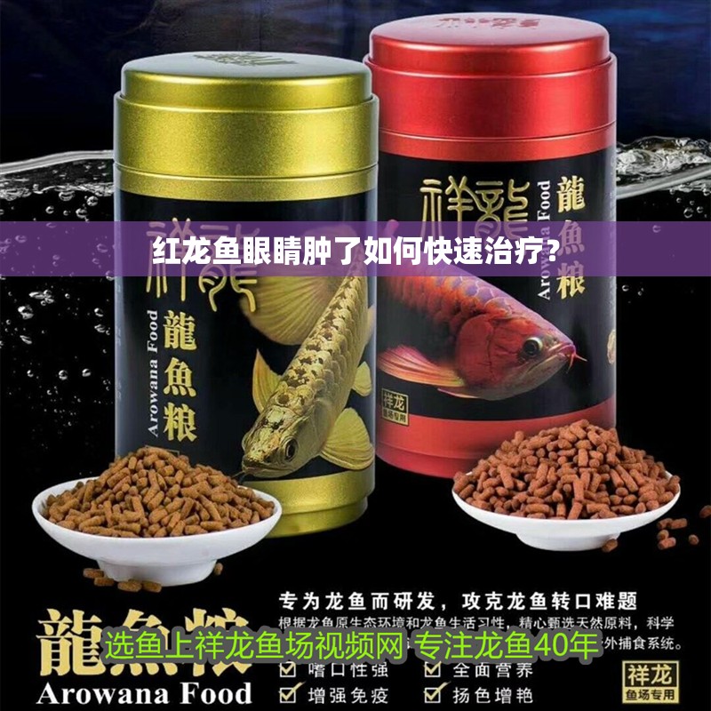 紅龍魚(yú)眼睛腫了如何快速治療？