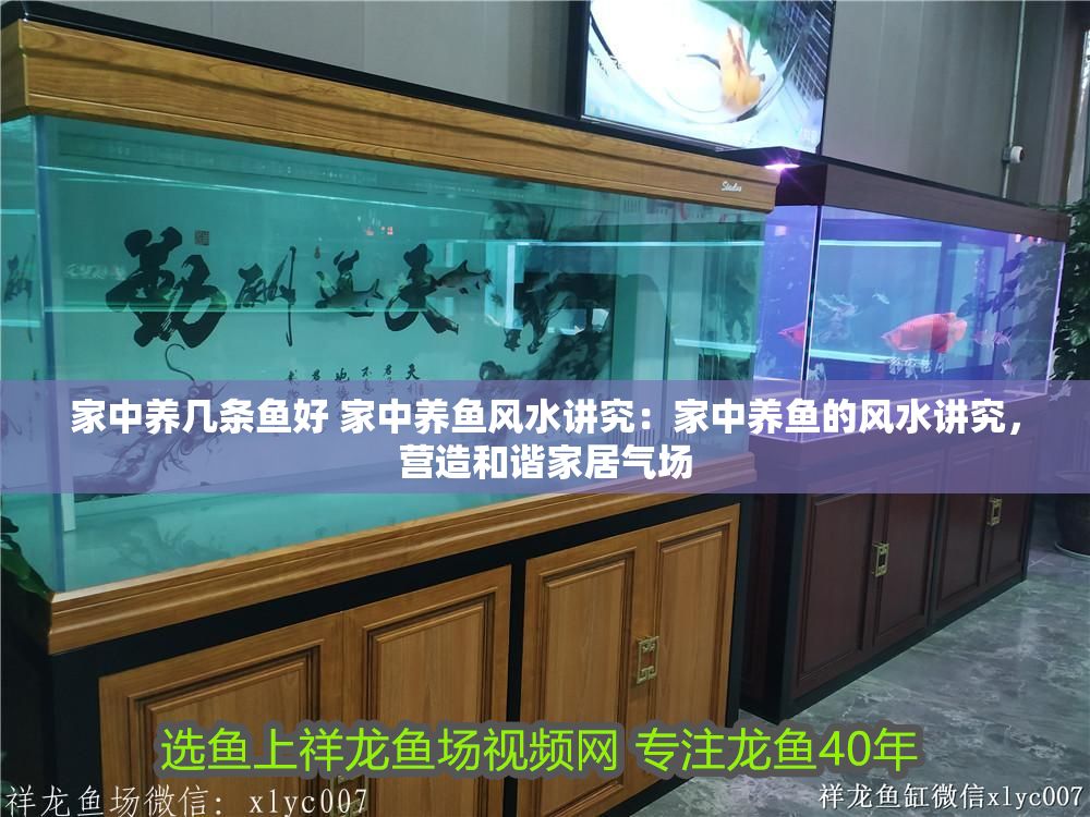 家中養(yǎng)幾條魚好 家中養(yǎng)魚風(fēng)水講究：家中養(yǎng)魚的風(fēng)水講究，營造和諧家居氣場