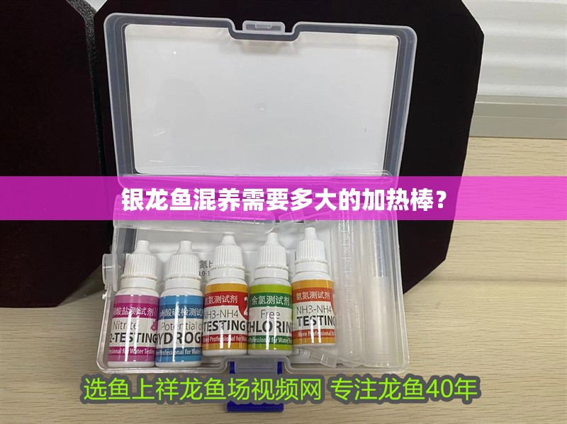 銀龍魚混養需要多大的加熱棒？