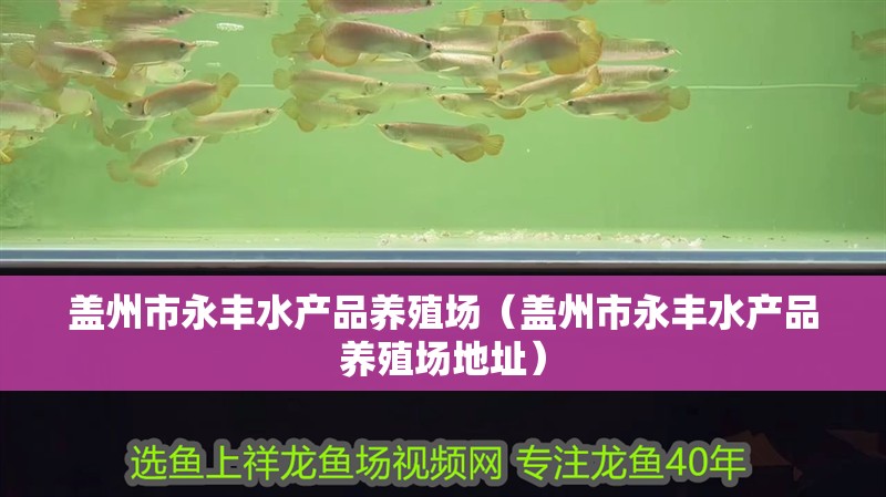 印尼虎魚多少溫度飼養(yǎng)最好:印尼虎魚多少溫度飼養(yǎng)最好印尼虎魚多少溫度飼養(yǎng)最好 蓋州市永豐水產(chǎn)品養(yǎng)殖場(蓋州市永豐水產(chǎn)品養(yǎng)殖場地址) 全國水族館企業(yè)名錄 蓋州市永豐水產(chǎn)品養(yǎng)殖場(蓋州市永豐水產(chǎn)品養(yǎng)殖場地址) 蓋州市永豐水產(chǎn)品養(yǎng)殖場(蓋州市永豐水產(chǎn)品養(yǎng)殖場地址) 全國水族館企業(yè)名錄