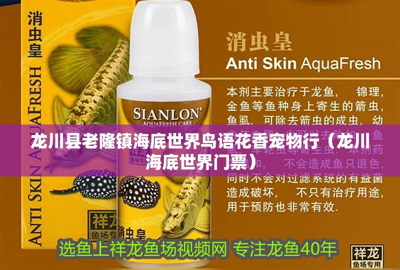 龍川縣老隆鎮(zhèn)海底世界鳥語花香寵物行（龍川海底世界門票）
