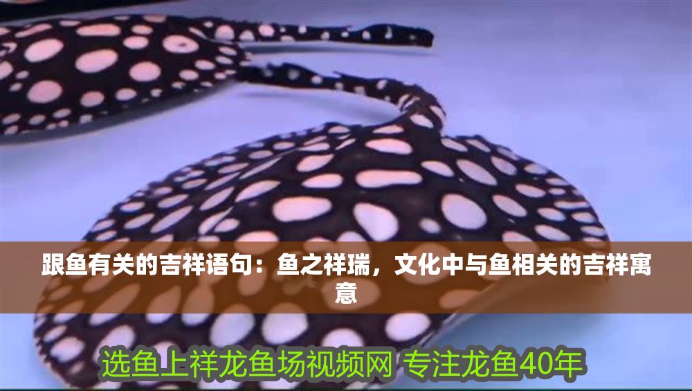 跟魚有關的吉祥語句：魚之祥瑞，文化中與魚相關的吉祥寓意