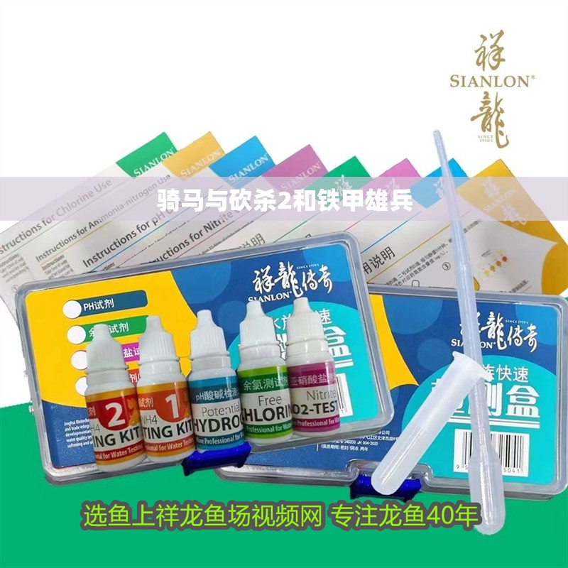 騎馬與砍殺2和鐵甲雄兵