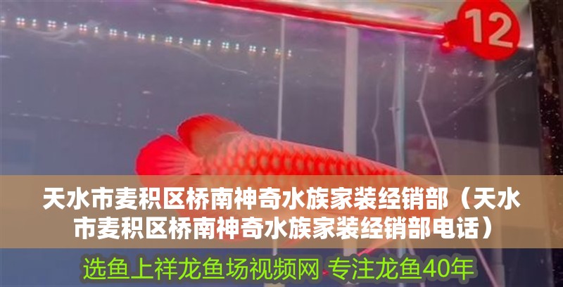 天水市麥積區(qū)橋南神奇水族家裝經(jīng)銷(xiāo)部（天水市麥積區(qū)橋南神奇水族家裝經(jīng)銷(xiāo)部電話）