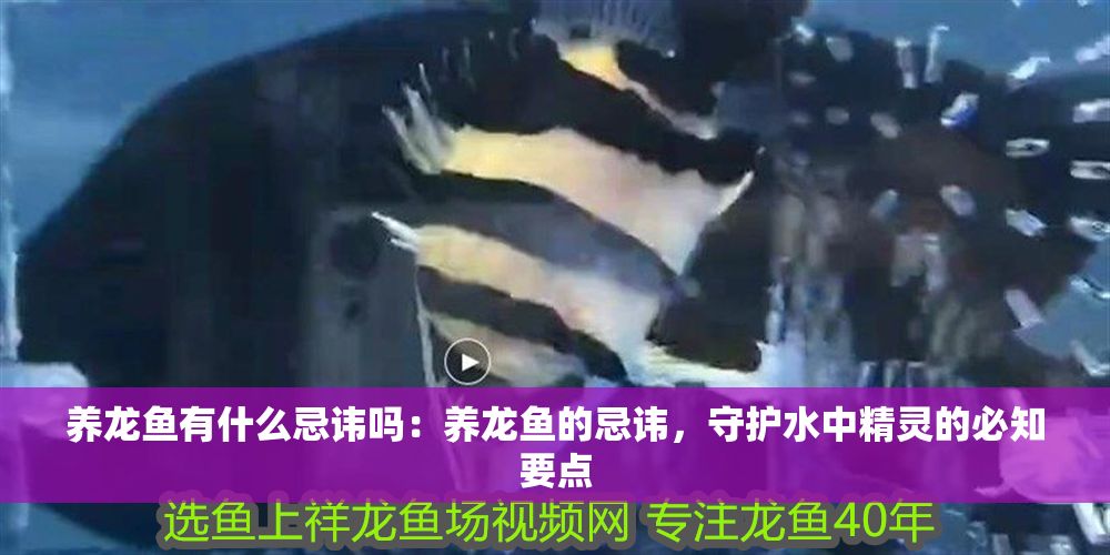 養龍魚有什么忌諱嗎：養龍魚的忌諱，守護水中精靈的必知要點