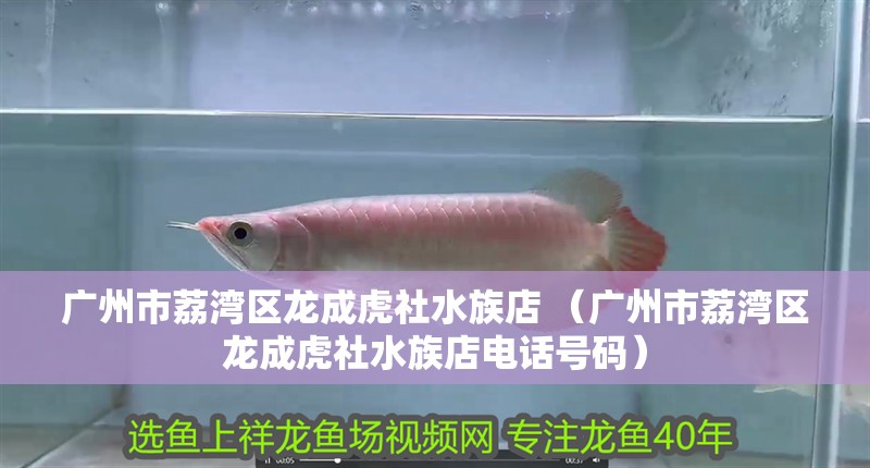 廣州市荔灣區龍成虎社水族店 （廣州市荔灣區龍成虎社水族店電話號碼）