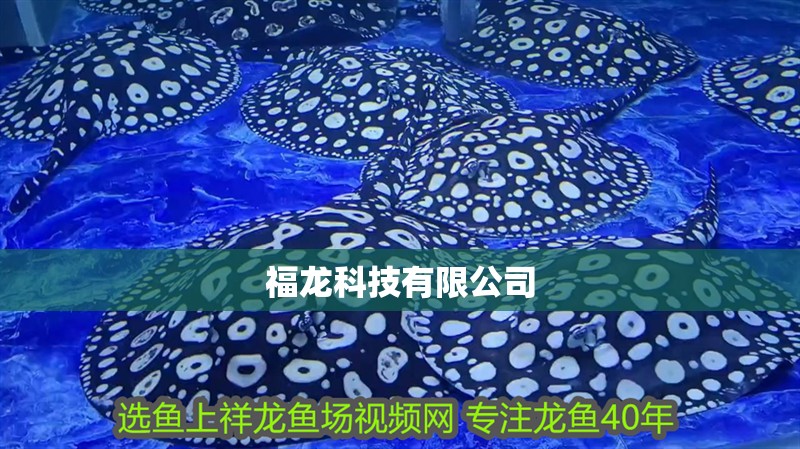 福龍科技有限公司