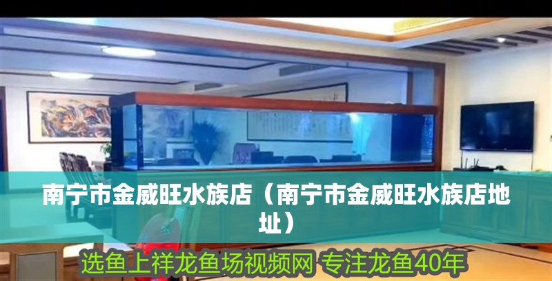 南寧市金威旺水族店（南寧市金威旺水族店地址）