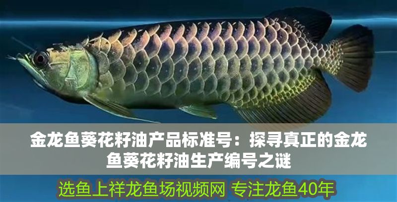金龍魚葵花籽油產(chǎn)品標(biāo)準(zhǔn)號(hào)：探尋真正的金龍魚葵花籽油生產(chǎn)編號(hào)之謎